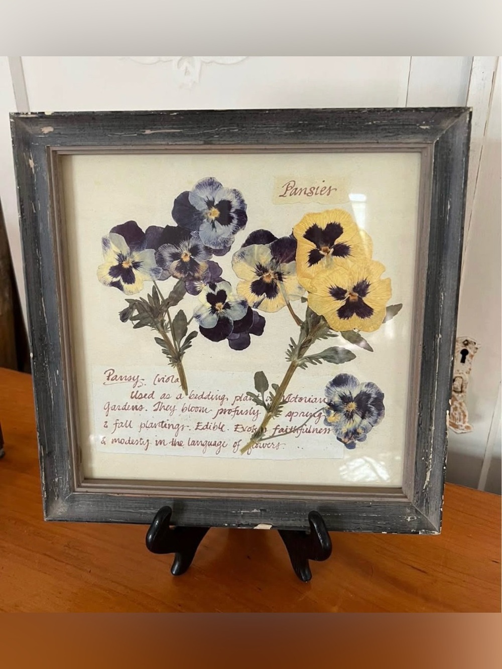Rustic Wood Framed Pansy Flower Wall Decor